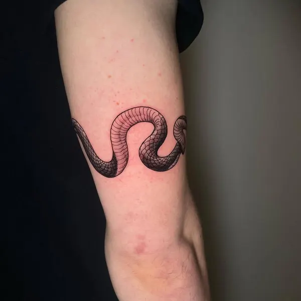 Dragon, 지네, 체인, Snake, 가시철사