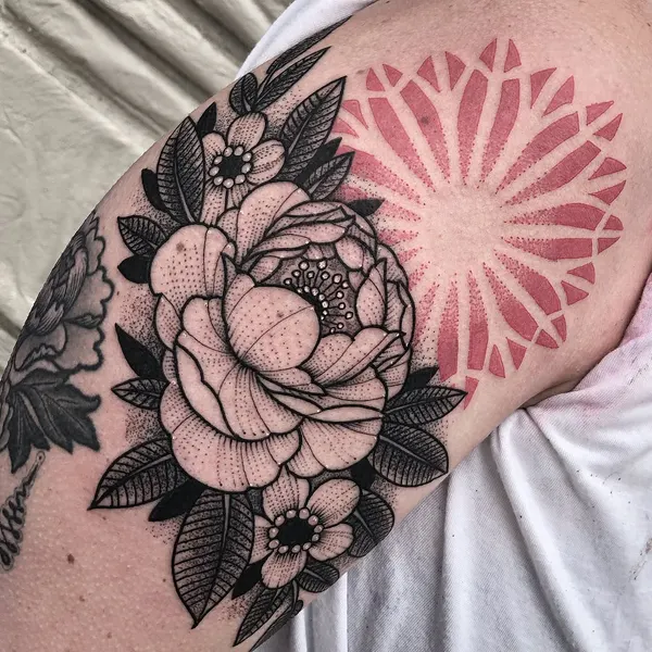 Flower, Rose