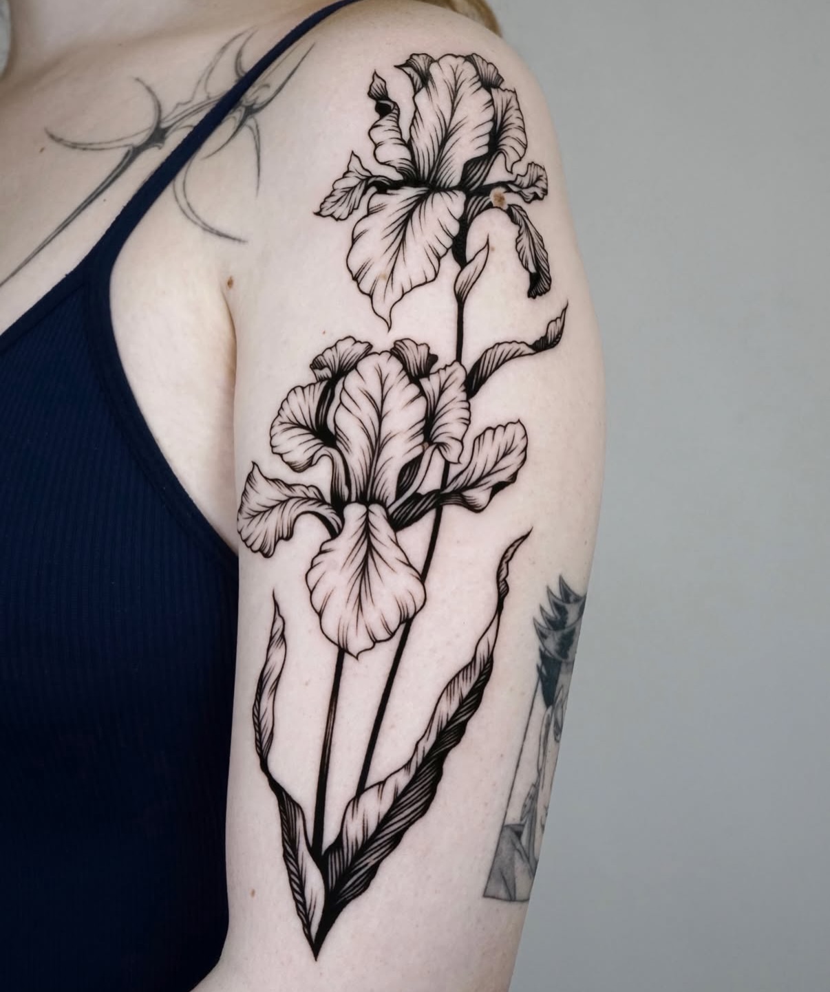 Flower, 아이리스, 난초, Rose