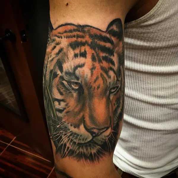 Tiger