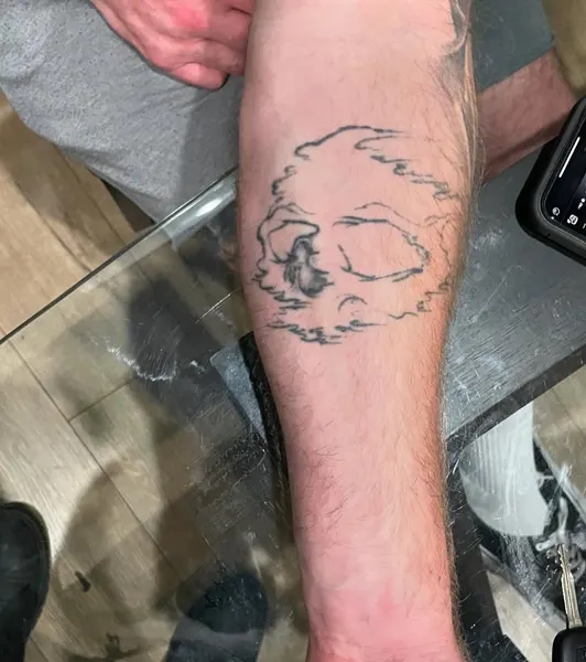 Animal