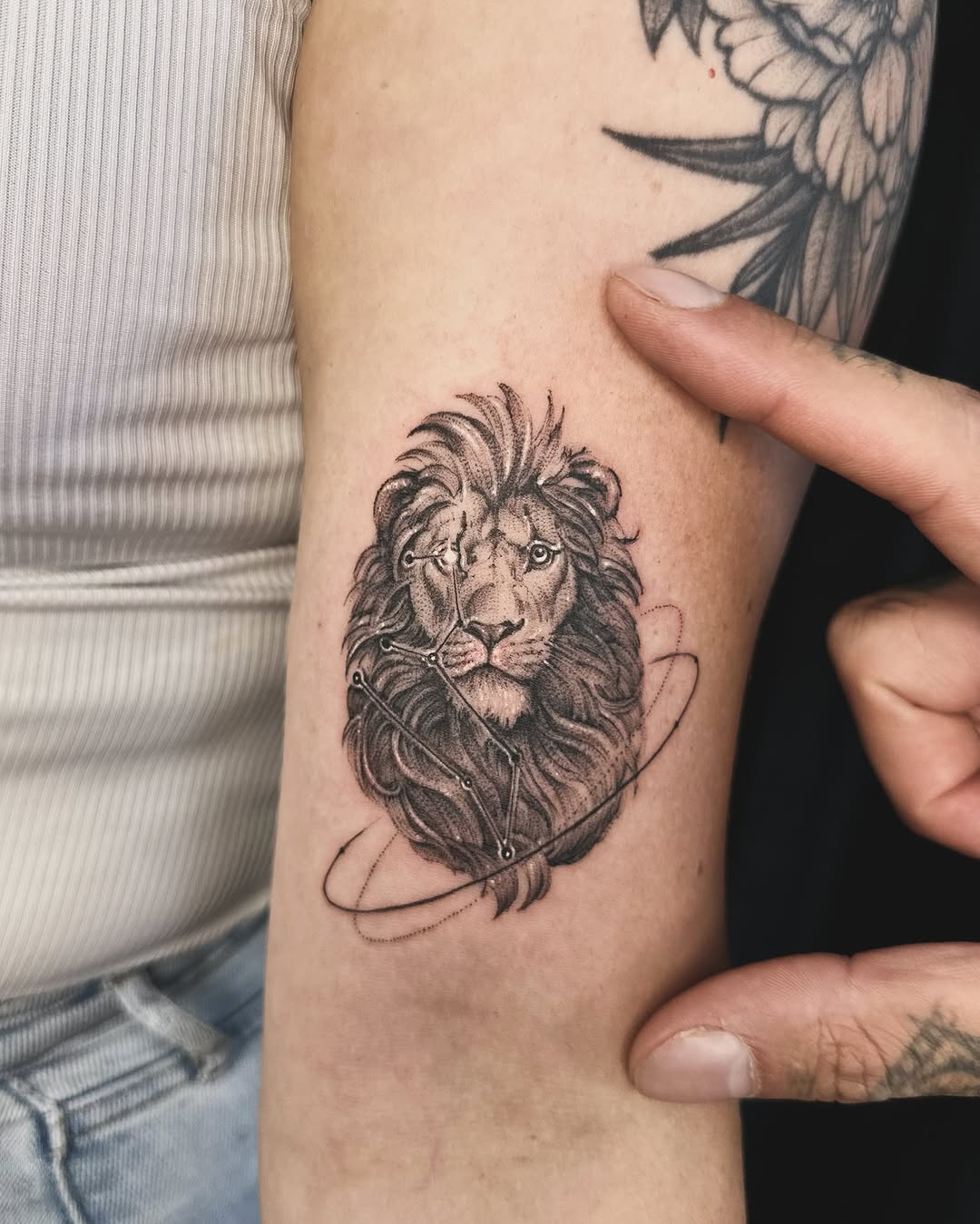 romeolacoste