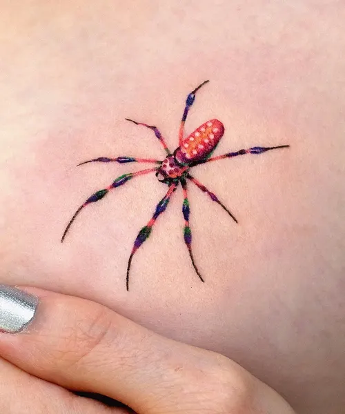 Animal, 거미