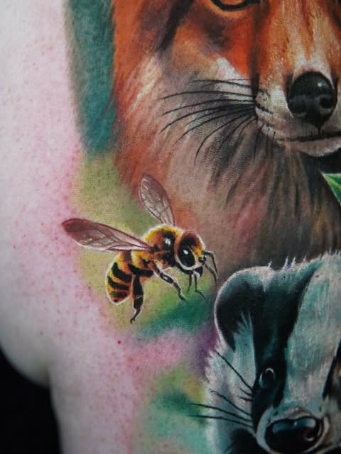 너구리, 트럼프 카드, Animal, 여우