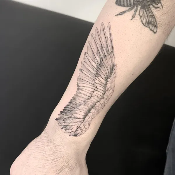 loko_lines