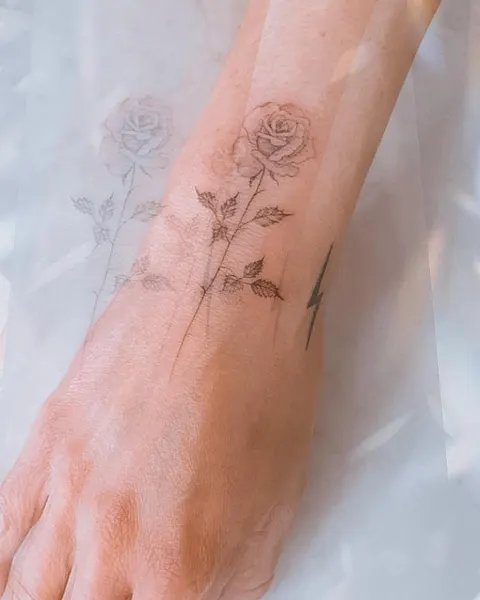 Flower, Rose