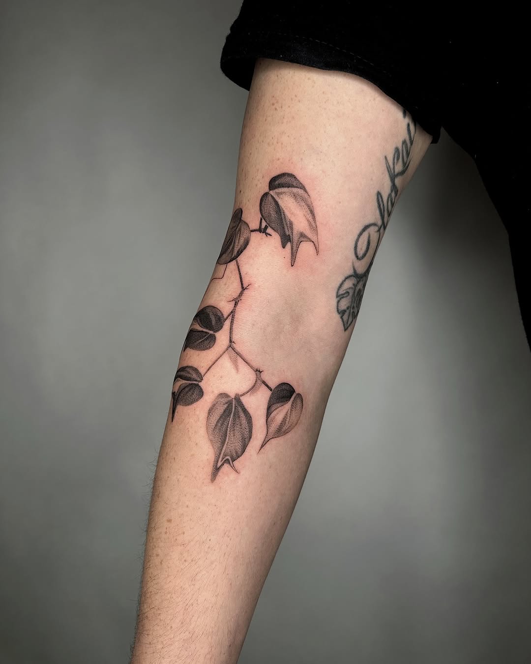 plantsnpokes