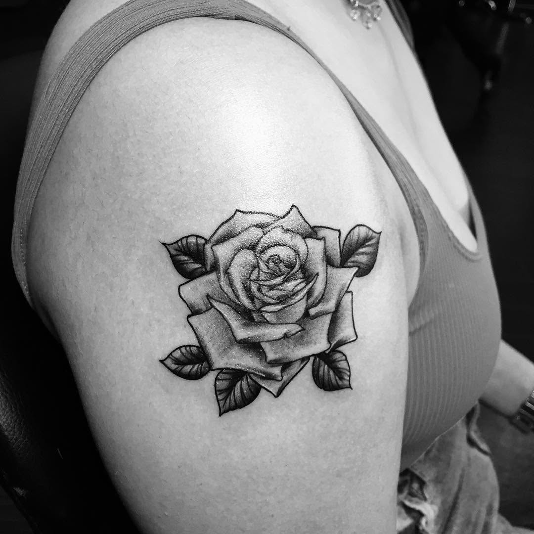 Flower, Rose, Nature