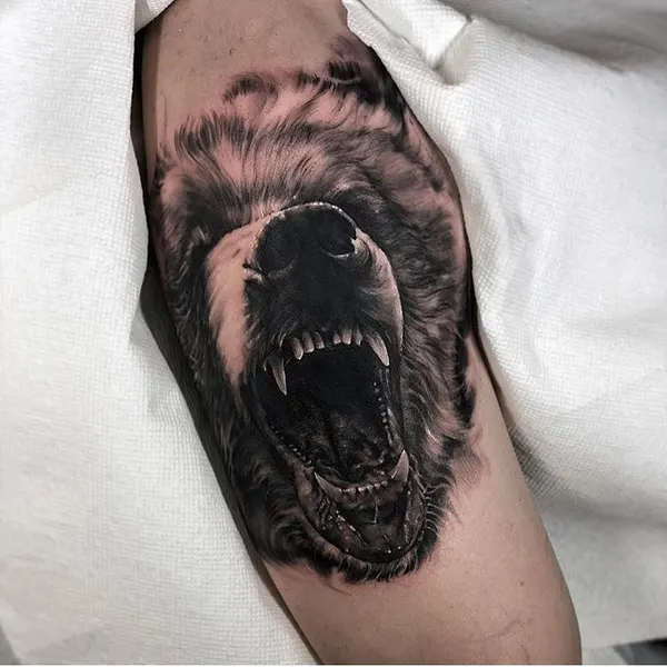 Animal