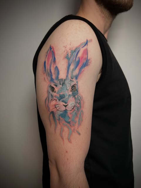 토끼, Animal