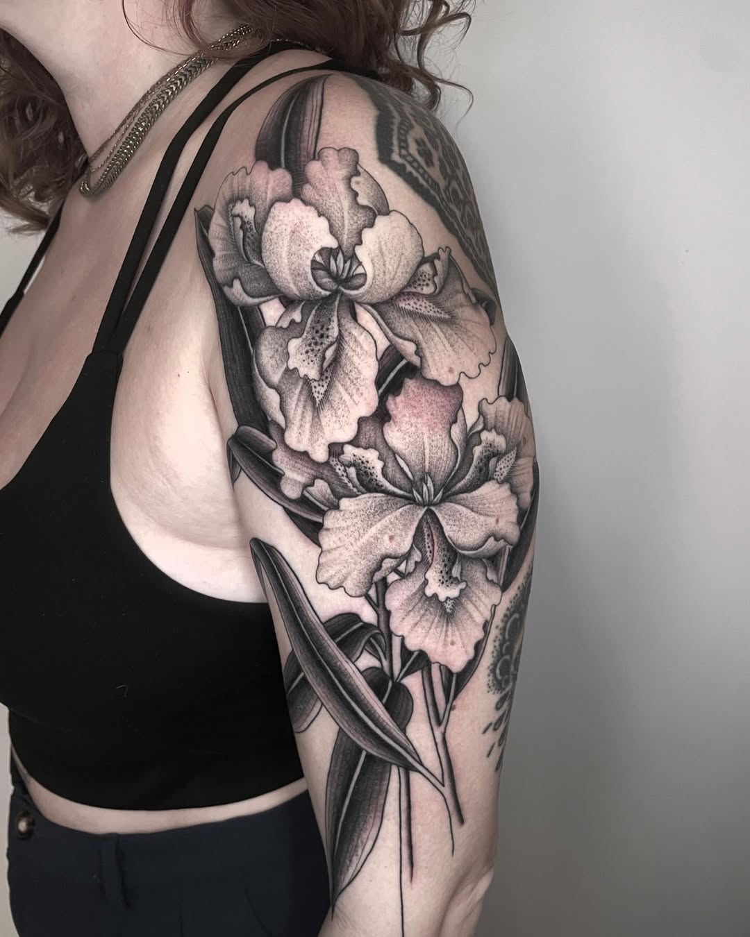 Rose, Flower