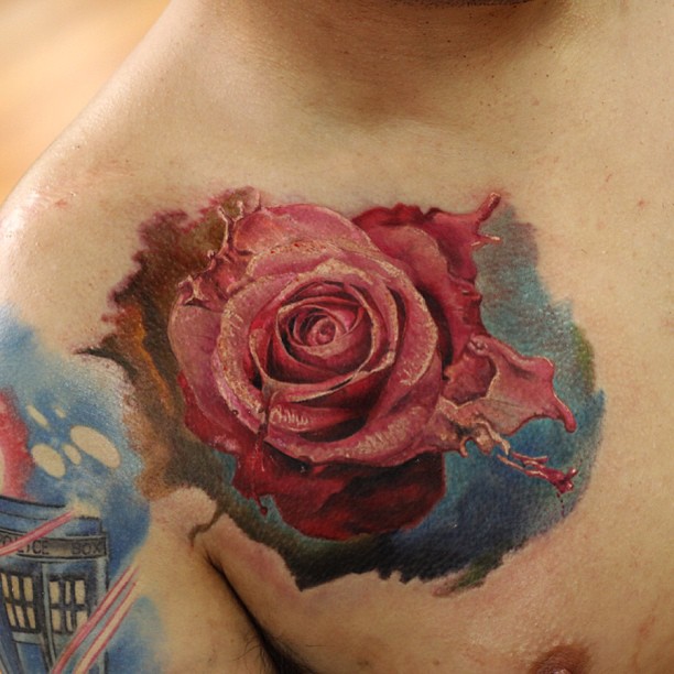 Flower, Rose, Nature