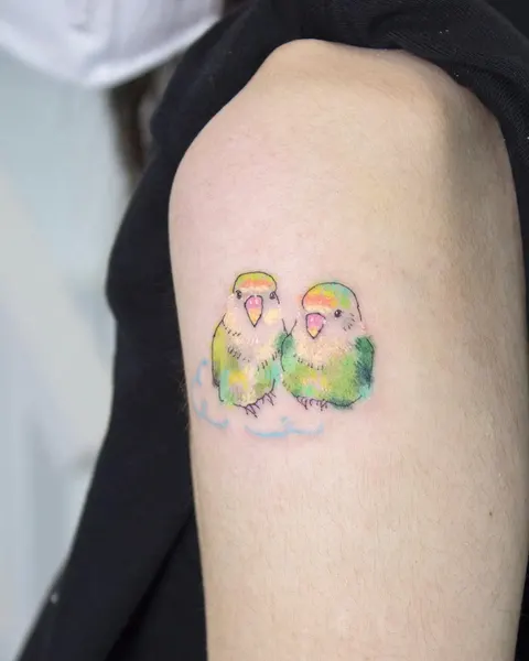 Animal, 앵무새, 공작