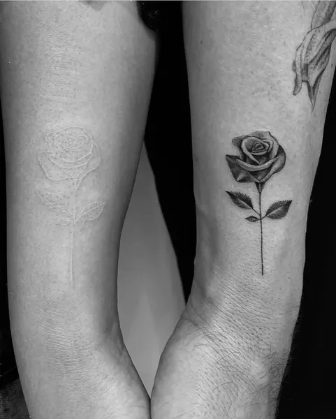 Flower, Rose