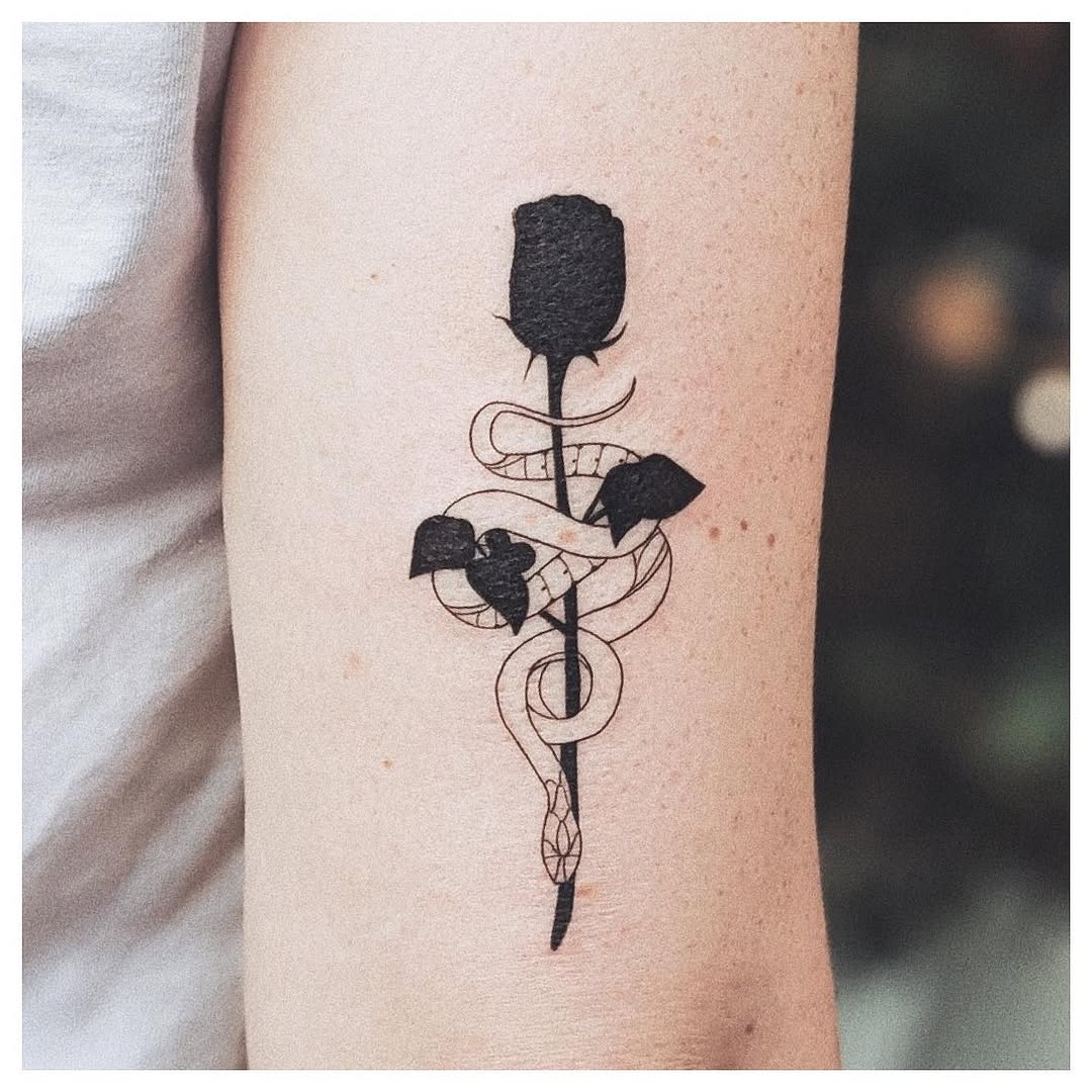 Flower, Rose, Dragon