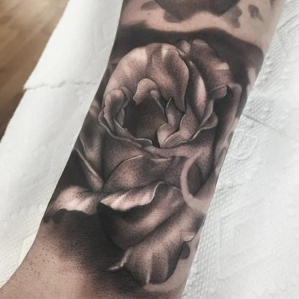 Flower, Rose