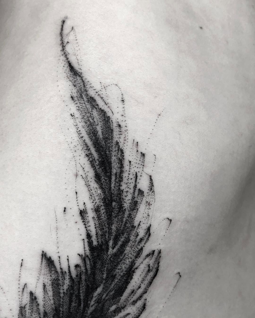 Nature, 깃털