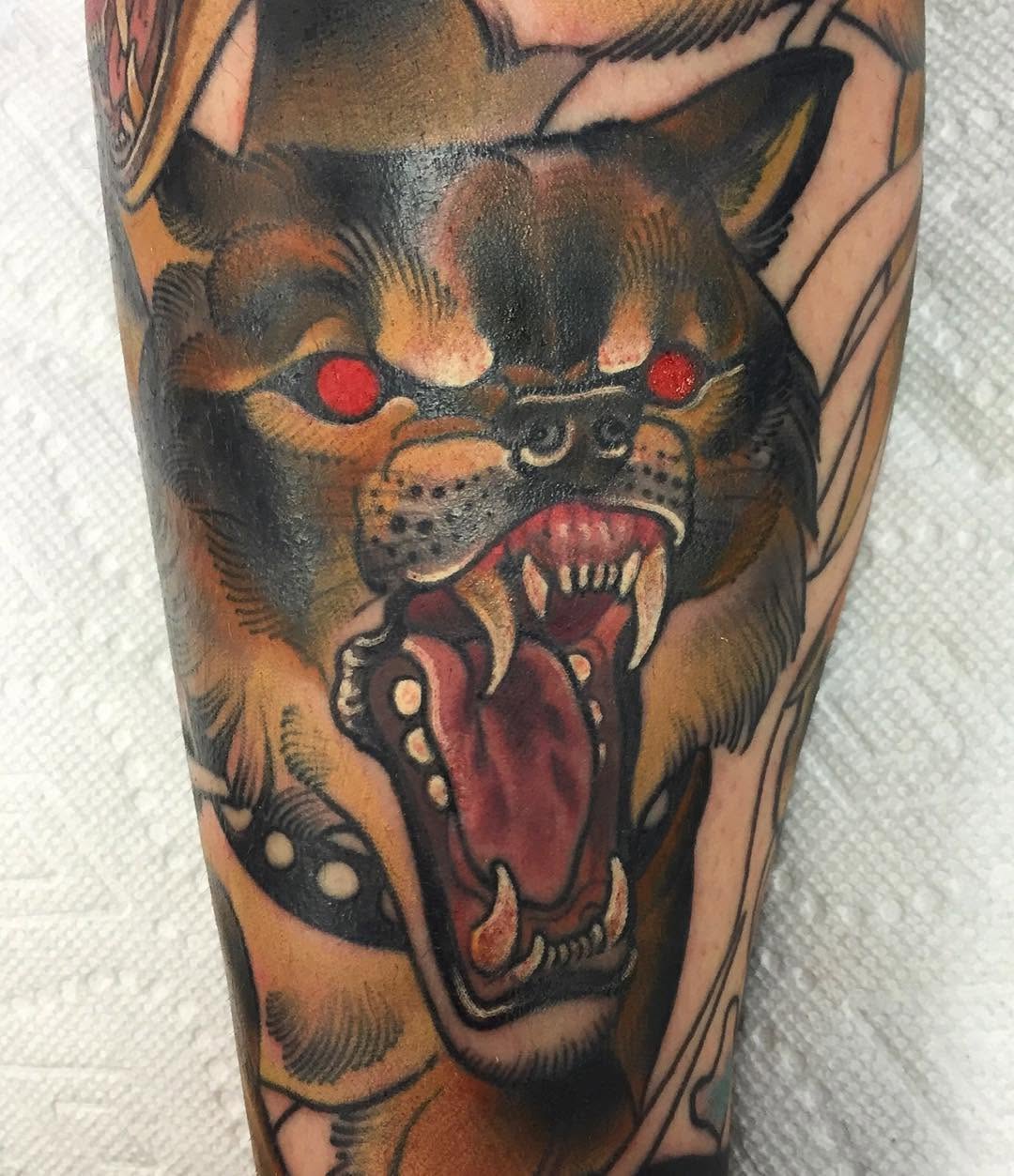 Tiger, Animal