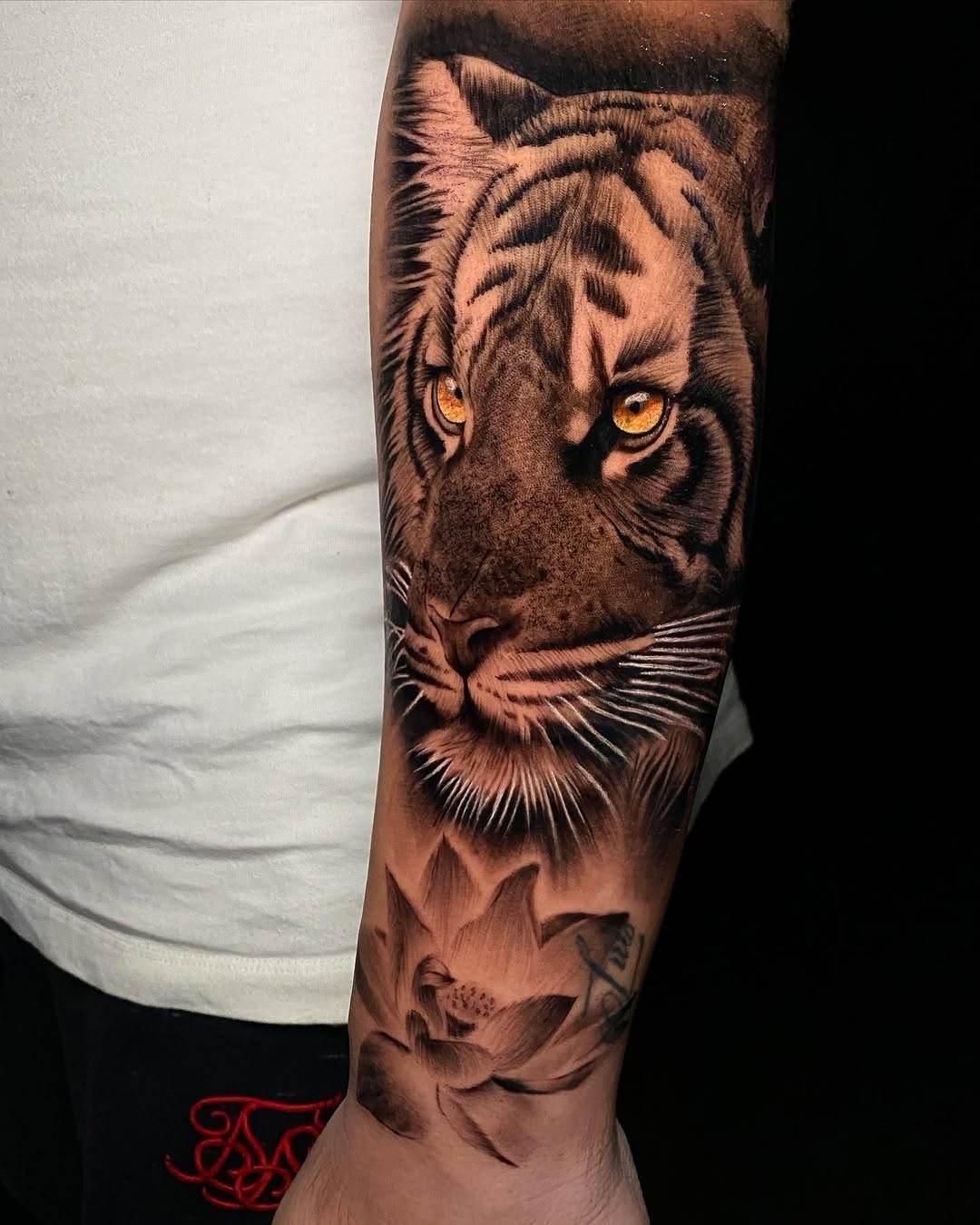 Tiger, 한국 호랑이