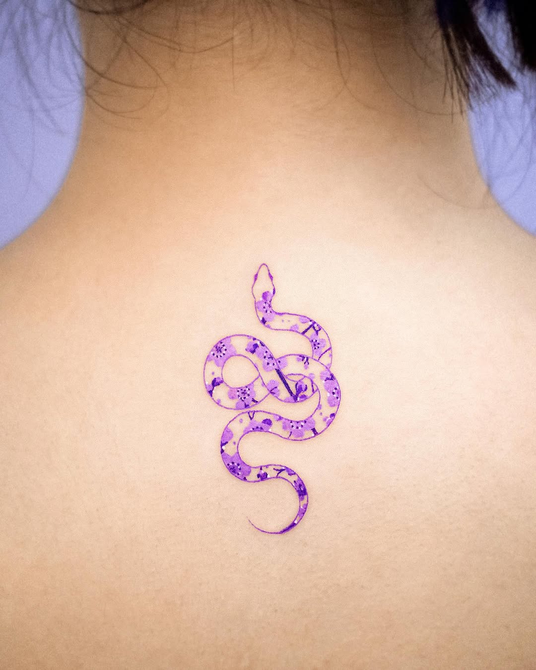 Dragon, Snake