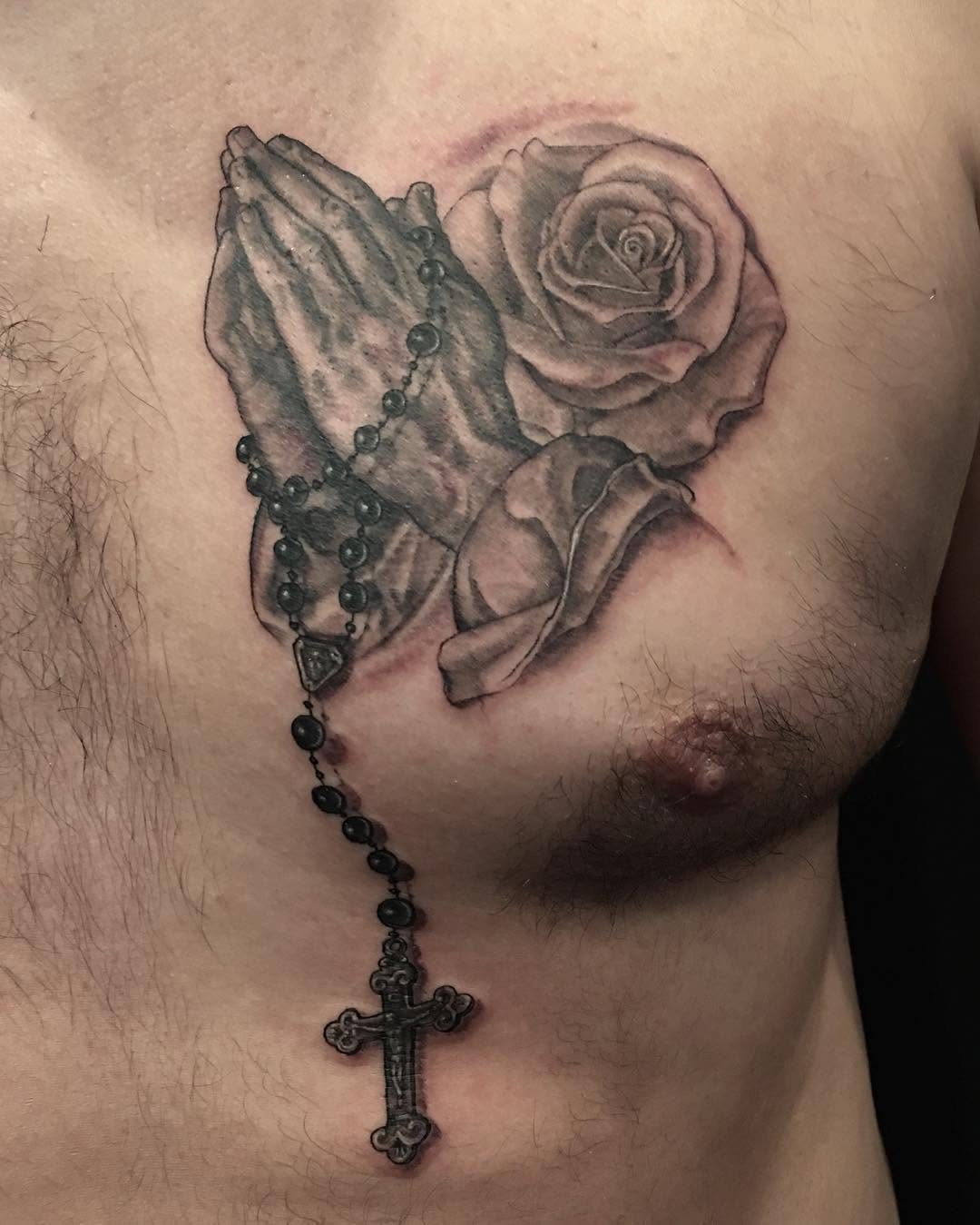 Flower, Nature, Rose