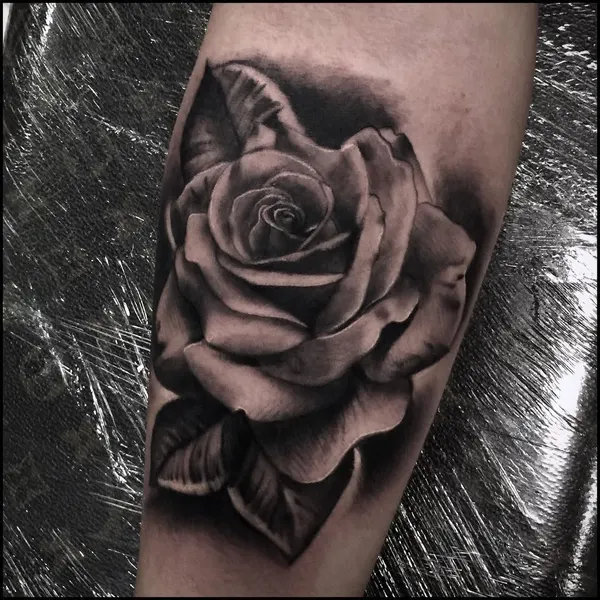 Flower, Rose