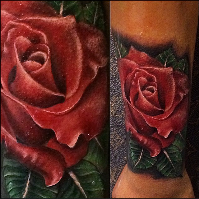 Flower, Rose