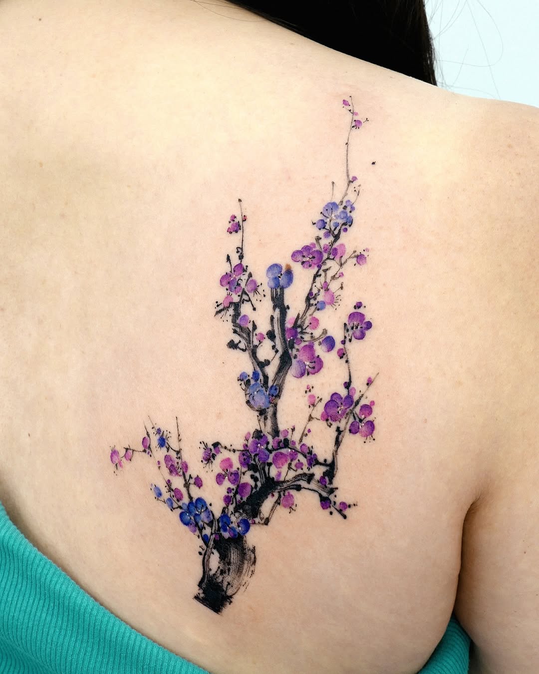 Flower, Nature, 일본 단풍, 벚꽃, 매화
