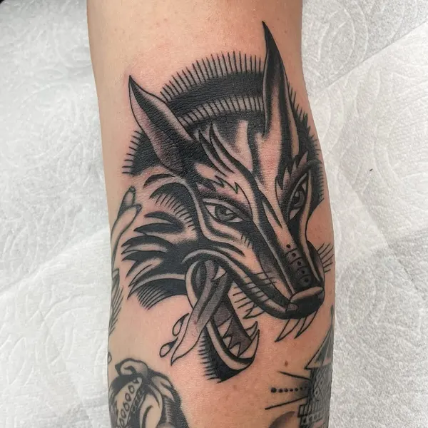 Tiger, Animal
