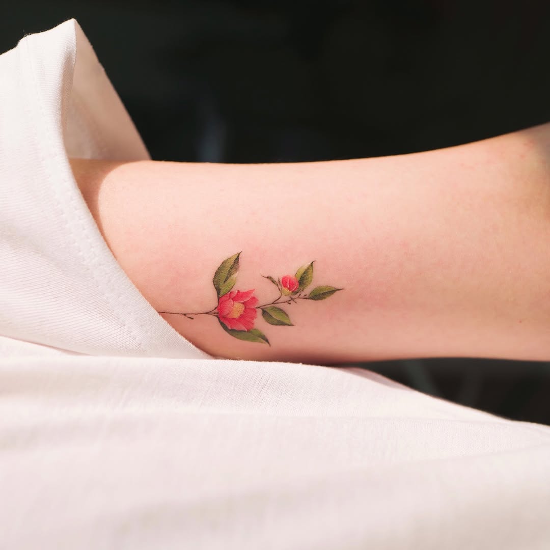 Flower, Rose