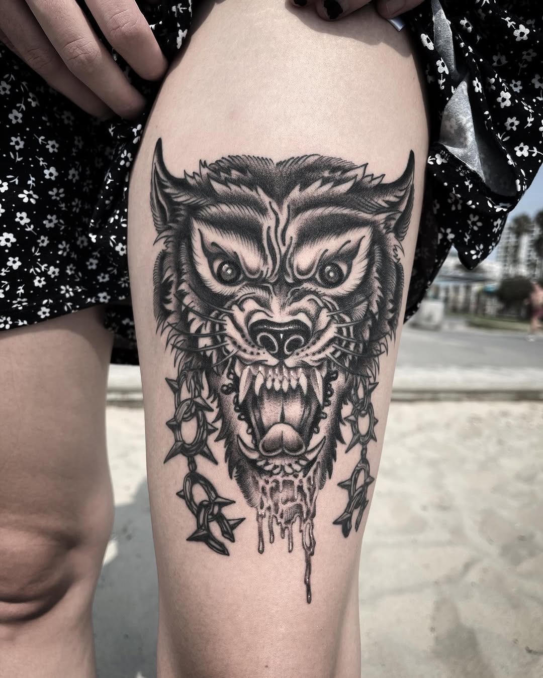 Animal, Tiger