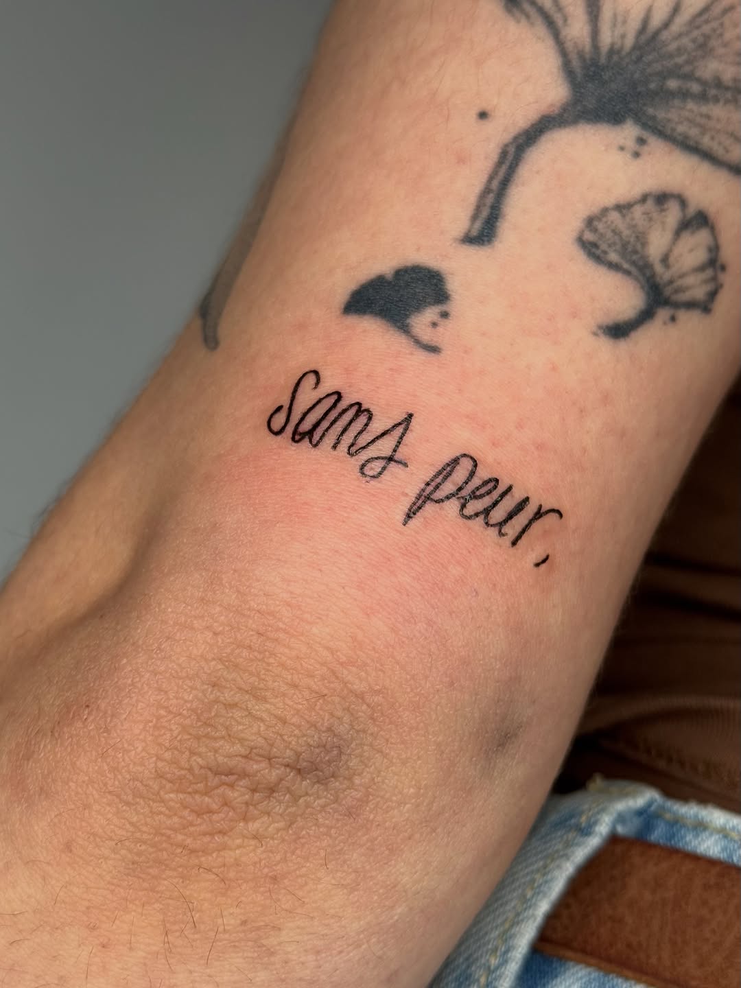 Lettering