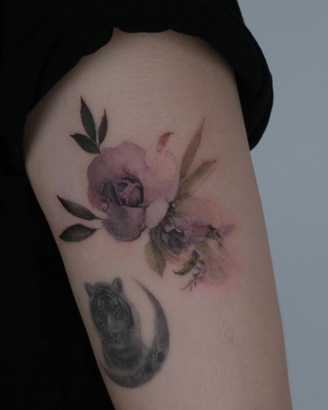 Flower, Rose
