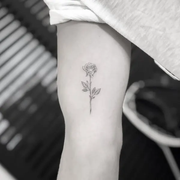 Flower, Rose