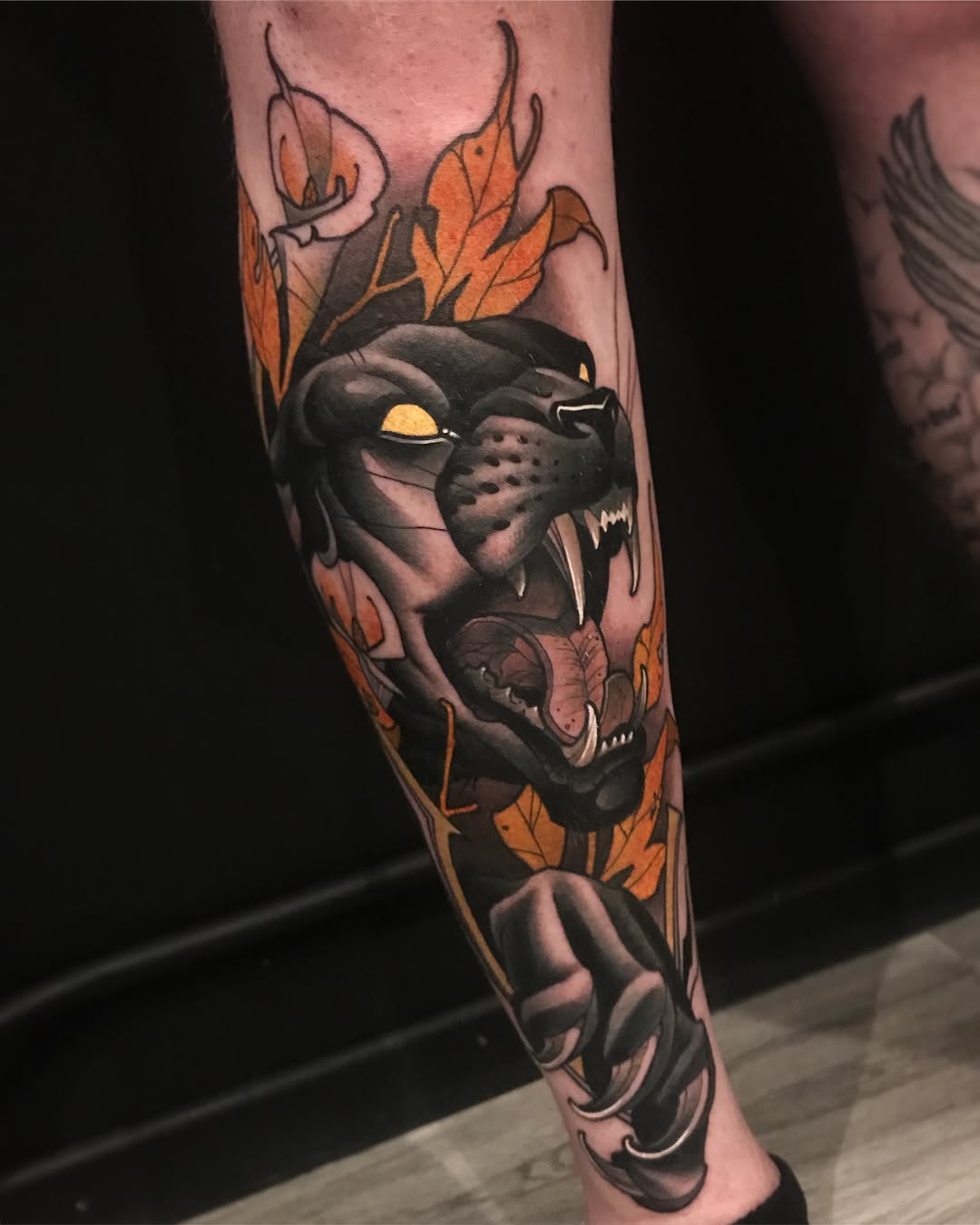 Tiger, Animal