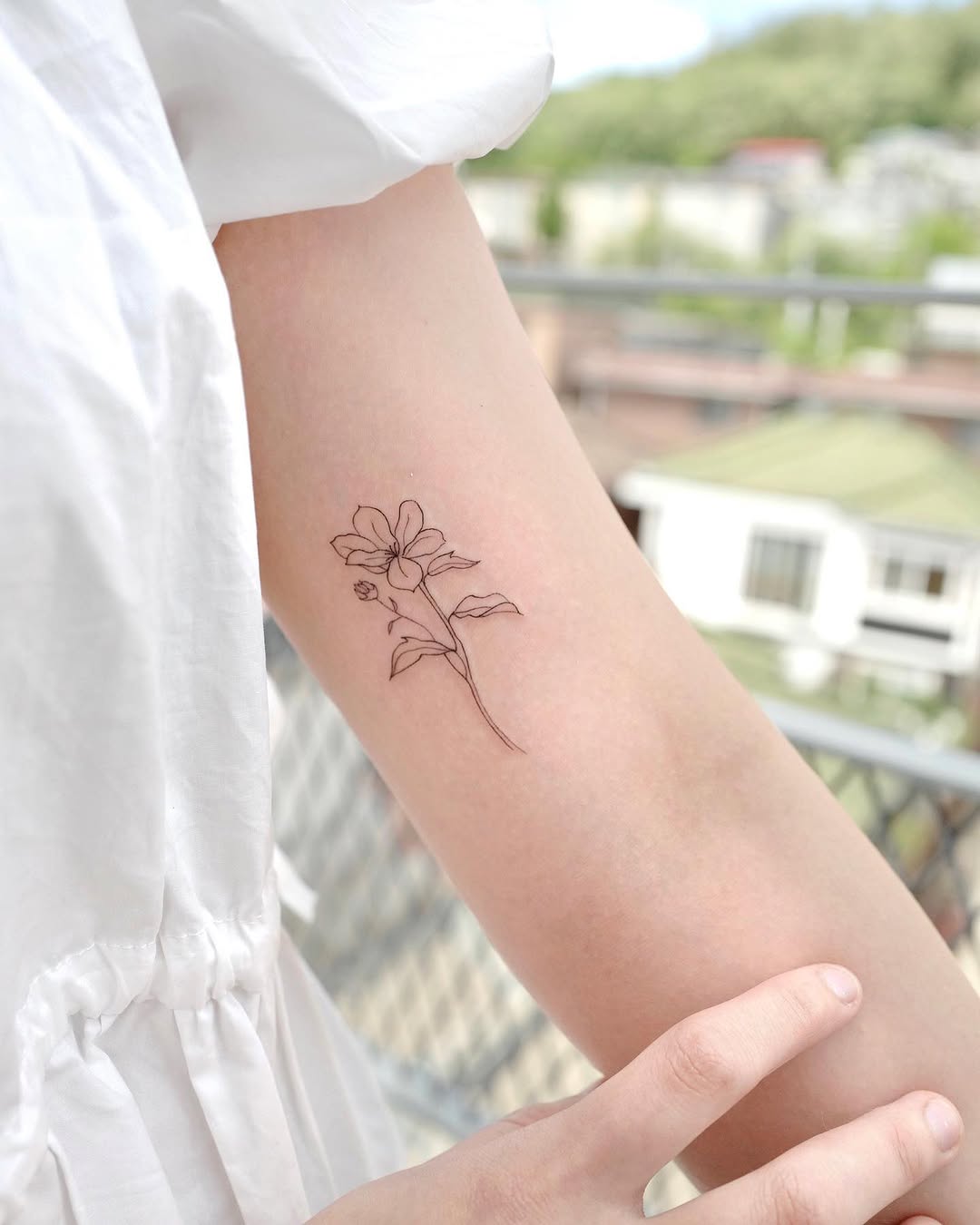 Flower, Rose