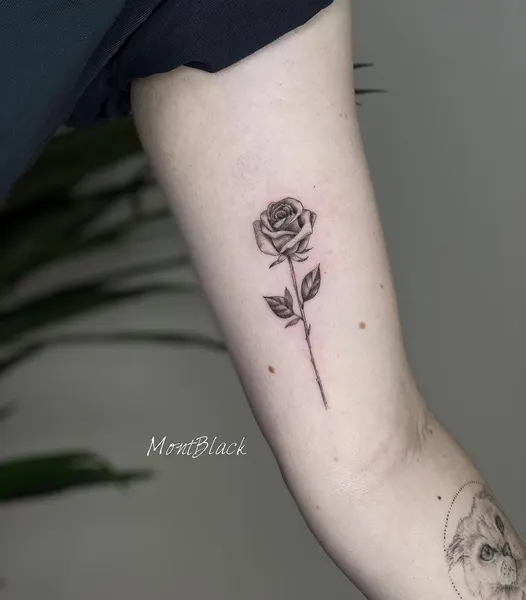 Flower, Rose