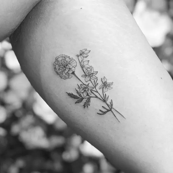 Flower, Rose
