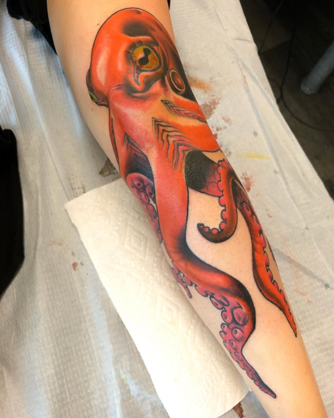 Animal