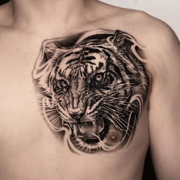 Tiger, 한국 호랑이, 중국 호랑이