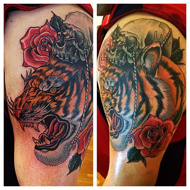 Tiger