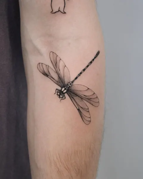 Nature, Animal