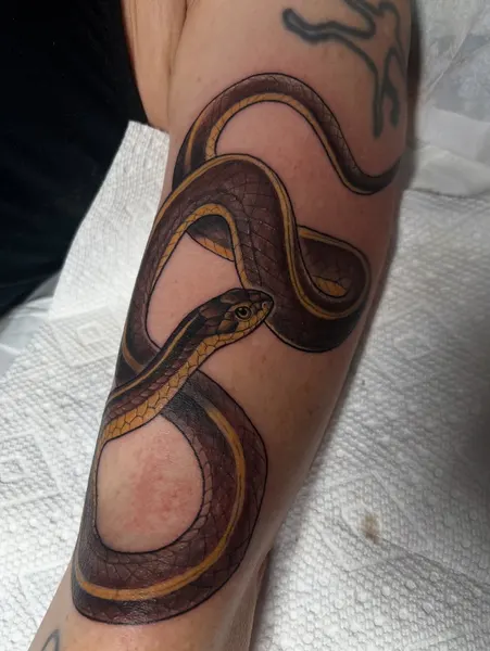 Animal