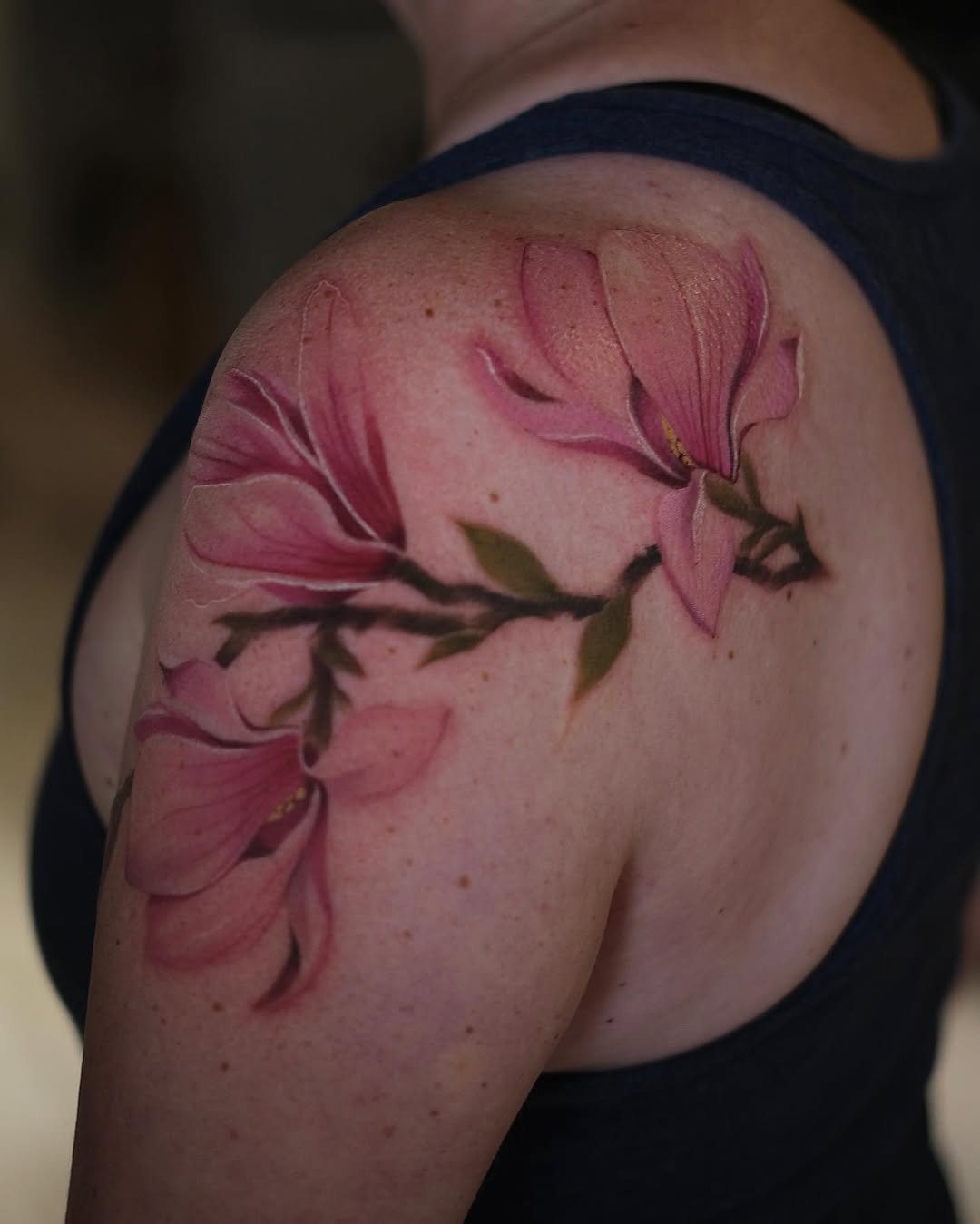 매화, Flower, Rose, 난초, 백합, 벚꽃