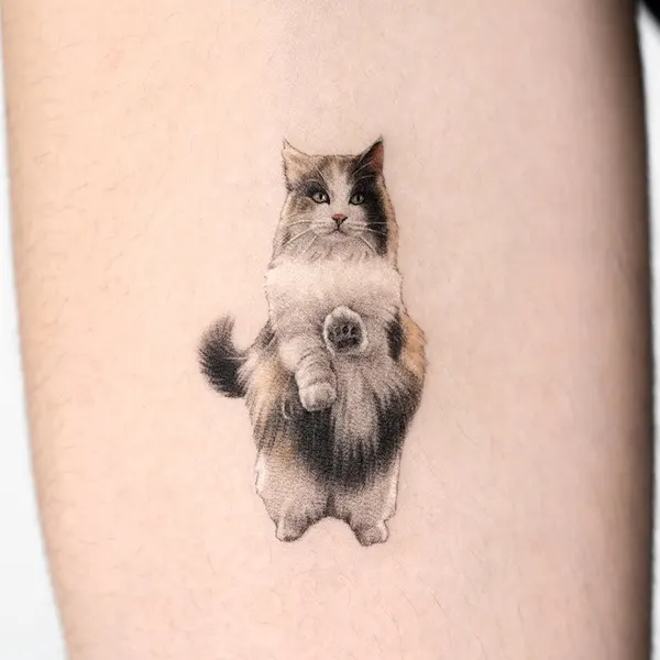Animal