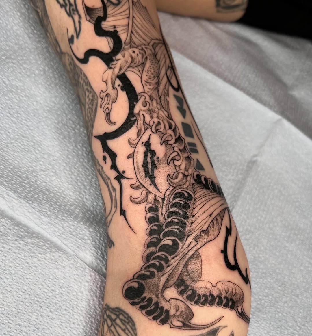 Dragon