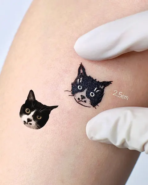 고양이