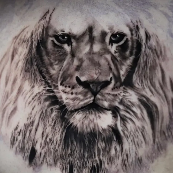 danmcwilliamsart