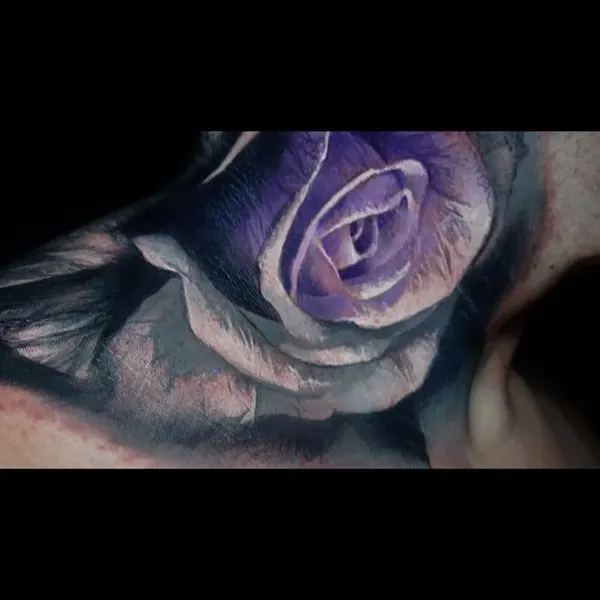 Flower, Rose, Nature