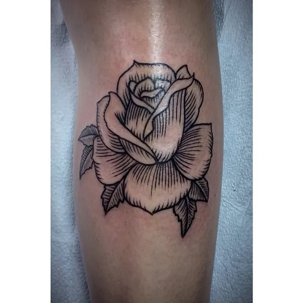 Flower, Rose